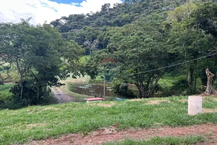 Sítio Super Produtivo à Venda