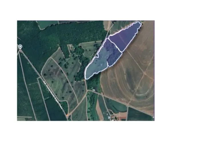SÍTIO EM MONTE APRAZÍVEL 1,95 alqueires?
