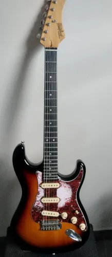Vendo guitarra Tagima e cubo laney 50 w
