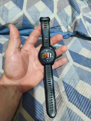 Garmin 165