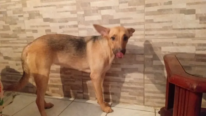 Doações 
