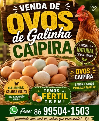 Ovos fértil zona sul Teresina