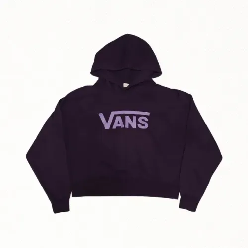 Blusa Vans Lizzie Raglan Pullover Hoodie Feminina
