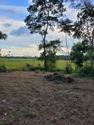 Terreno no Goiabal na beira do lago.