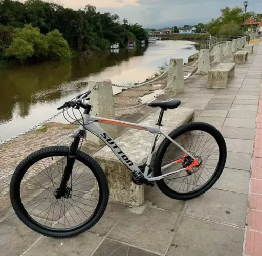 Bicicleta aro 29