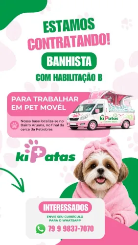 BANHISTA ANIMAIS DOMÉSTICOS