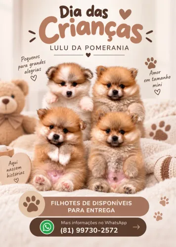 Lulu da pomerania