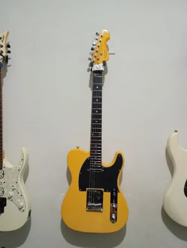 Guitarra Telecaster PHX TL 1