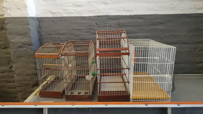 Gaiolas