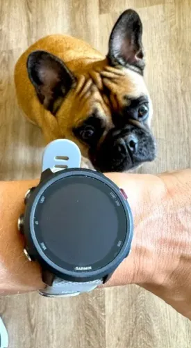 Relógio Garmin 245 music-usado