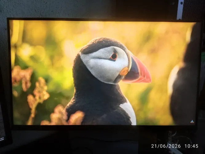 MONITOR TCL 25 QLED MINI LED 300Hz (25G64)