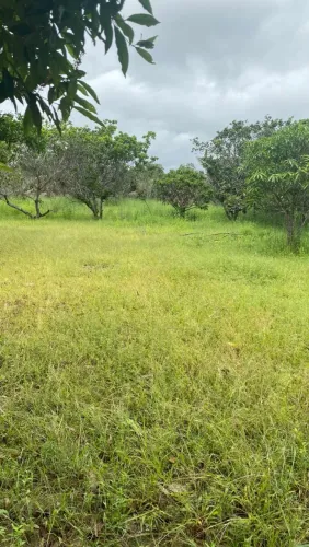 Vende-se terreno no interior do município caxias