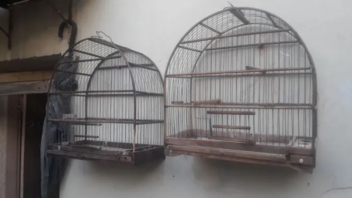 Vendo 2 ótimas gaiolas de belgas. Baratas