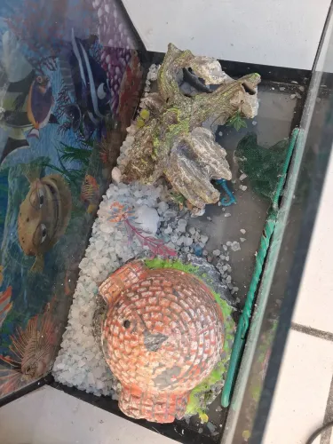 Vendo aquário completo com tudo