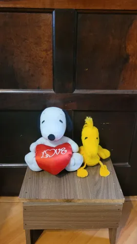 Kit de pelúcias Snoopy/Woodstock Estrela