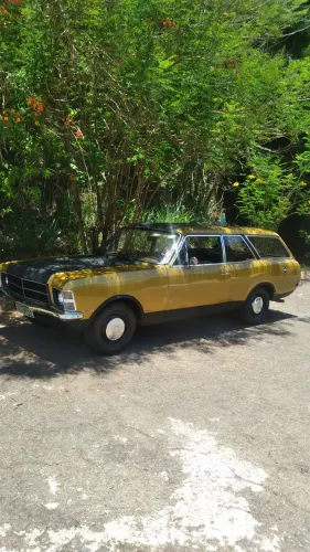 Chevrolet Caravan L/sl/s/ss 2.5/4.1/4.2 1978