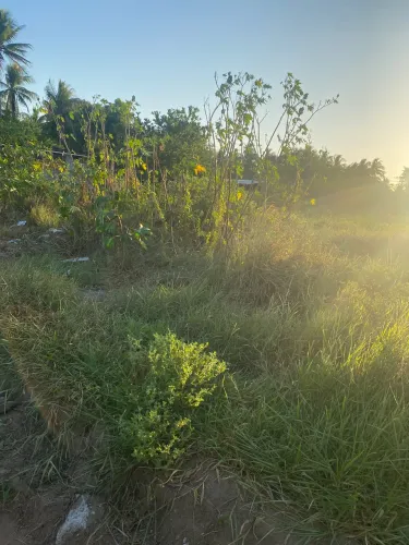 Terreno na Ba 502, 10x 25