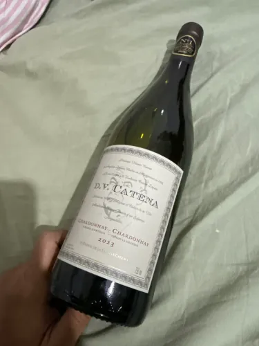 DV Catena Chardonnay - Chardonnay 2023