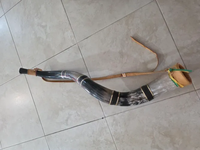 Berrante Goiânia 90cm.5 chifres