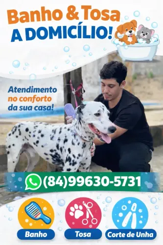 Banho e tosa pro seu pet no conforto de casa !