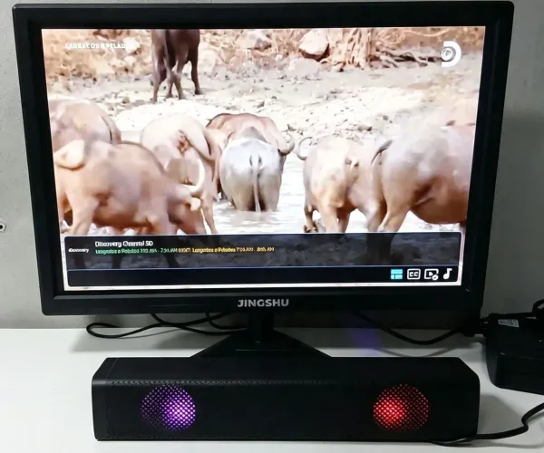 Monitor perfeito!