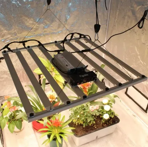 Painel LED Grow Figolite 600W LM301H Full Spectrum