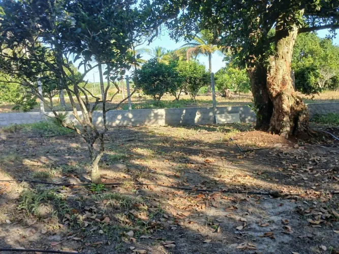 Vendo terreno em pedrinhas