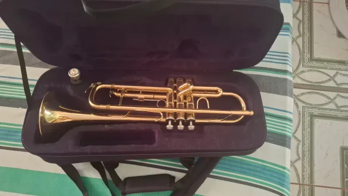 Trompete Sib Harmonics HTR-300L laqueado + case - intermediário