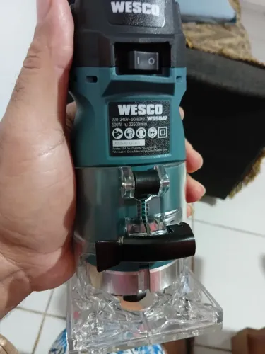 Tupia wesco 