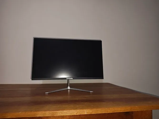 Monitor gamer 