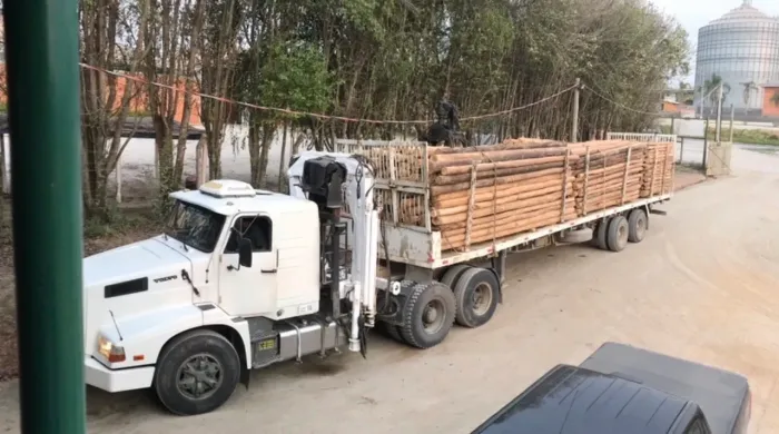 CARRETA VOLVO TRANSTORA COM MUNCK FLORESTAL