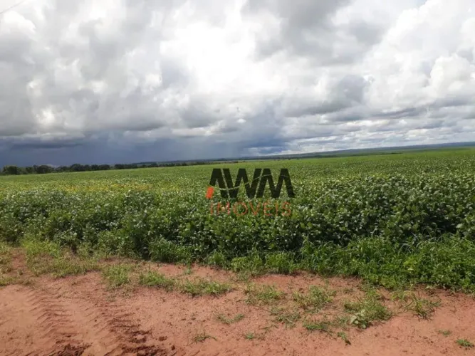 Fazenda à venda,  m² por R$ 300.000.000,00 - Centro - Nova Xavantina/MT