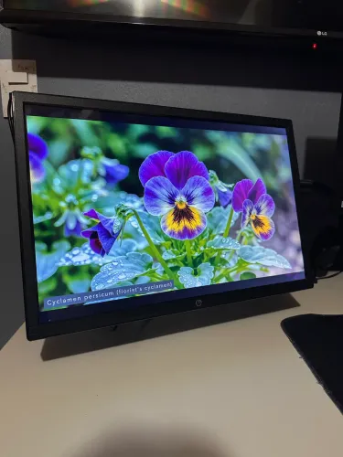 Monitor 19? polegadas
