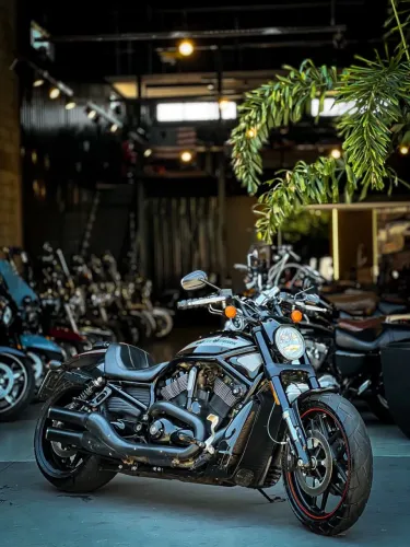 HARLEY-DAVIDSON NIGHT ROD SPECIAL VRSCDX 2014