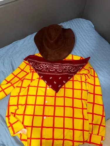 Fantasia do woody de toy story