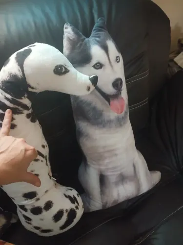 Cachorros de pelúcia.