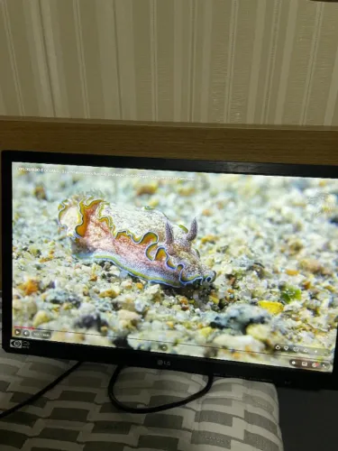 Monitor LG 22' Polegadas (HDMI/ Displayport) Full HD 1920x1080p