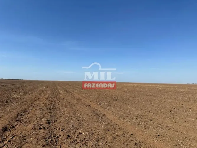 Fazenda 8.618 hectares Bom Jesus - PI