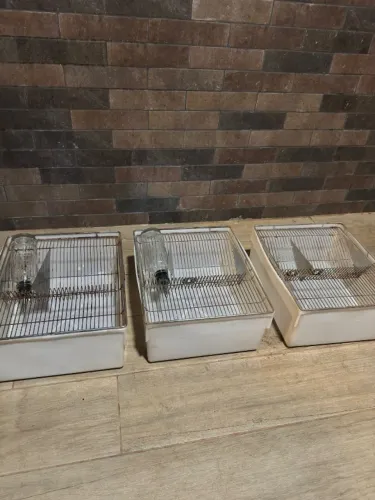 Caixa para Hamster - Roedores