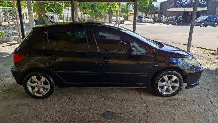 Peugeot 307 Soleil/ Presence 1.6/1.6 Flex 16V 5P 2009