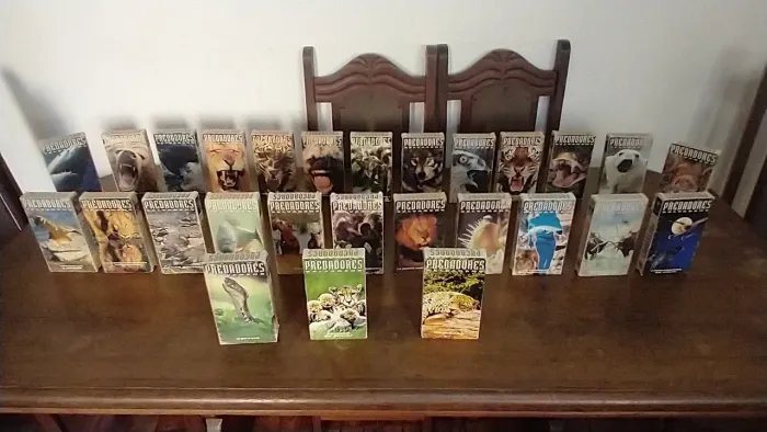 Coleção completa predadores selvagens