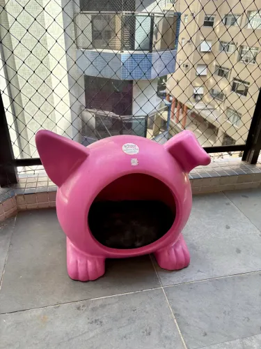 Caminha para Pet p/ cães e gatos