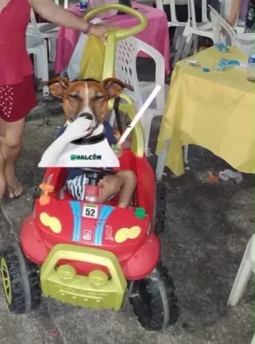Carrinho de passeio