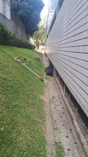 Jardinagem e projetos e palda de árvore com motosserra