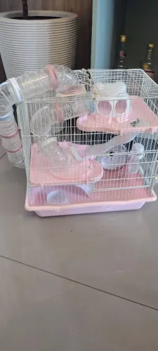 Vendo Gaiola de Hamster