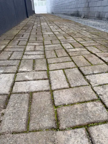 Vendo Paver Usado (retirar do chão)
