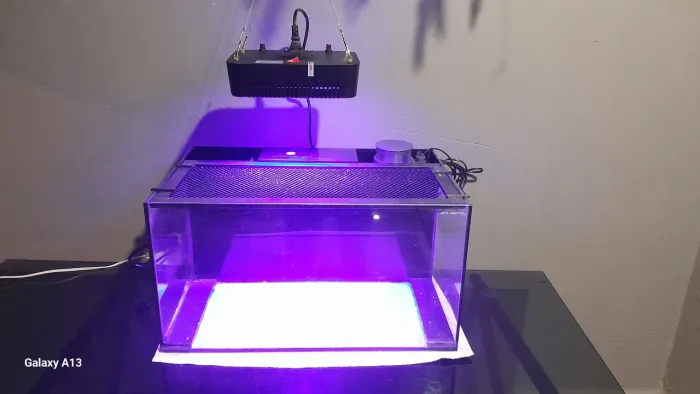 Aquario