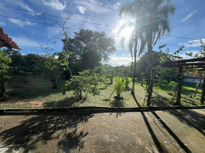 Fazenda 125 hectares, casa sede, galpão, curral, várias divisões pasto, Rio grande porte -