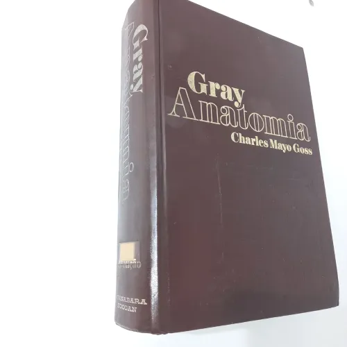 Gray Anatomia