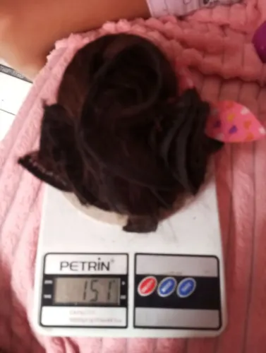 Cabelo humano